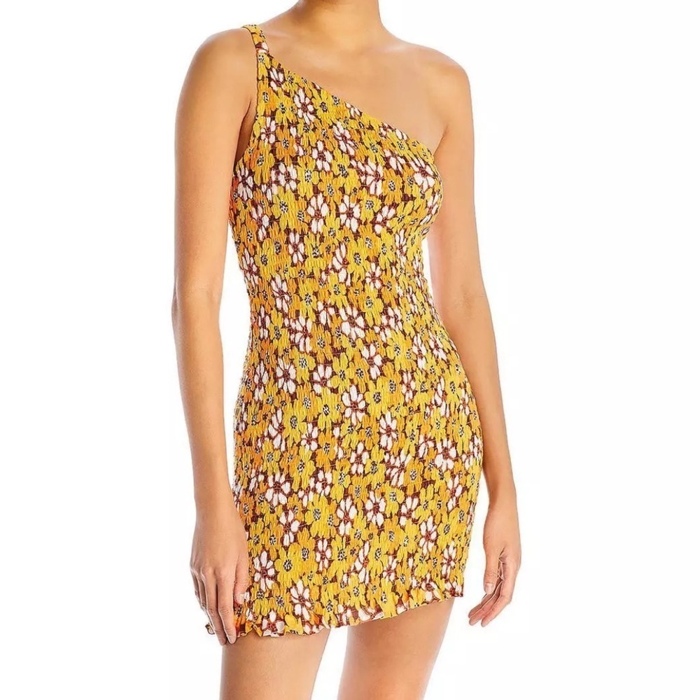 NWT FAITHFUL THE BRAND One Should Smocked Floral Pullover Mini Dress Size 4